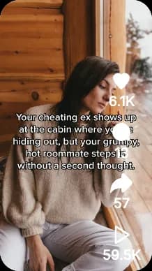 BookTok post example